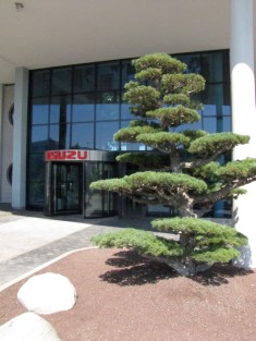 ISUZU MOTORS Germany GmbH